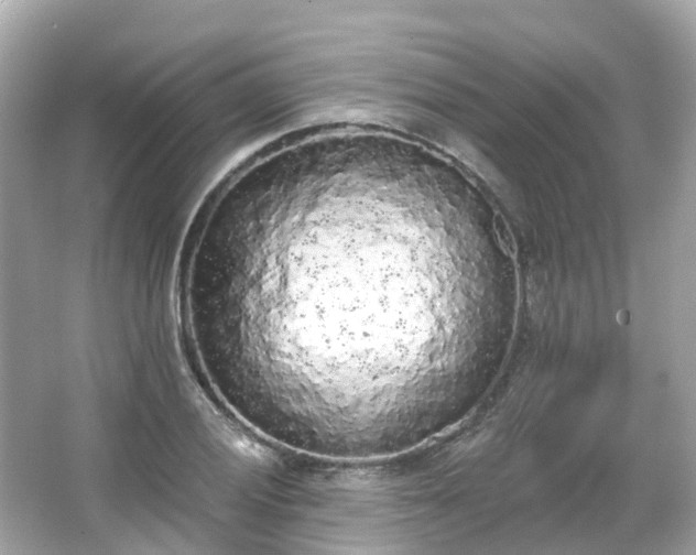 X0000066091028200603131158