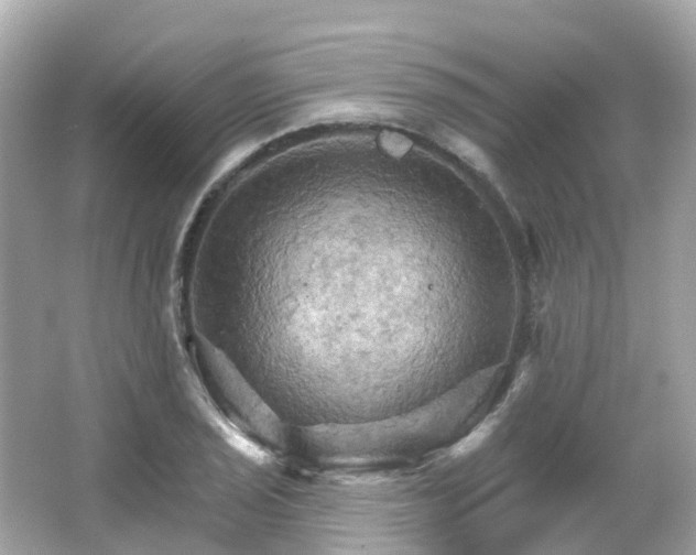 X0000066091029200603131158