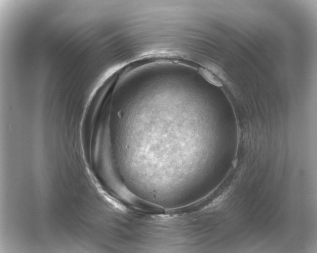 X0000066091030200603131158