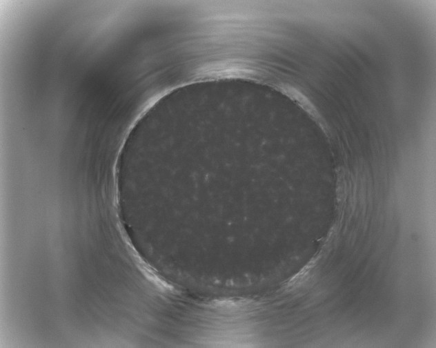 X0000066091031200603131158