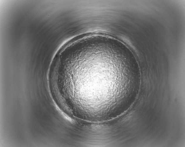 X0000066091032200603131158