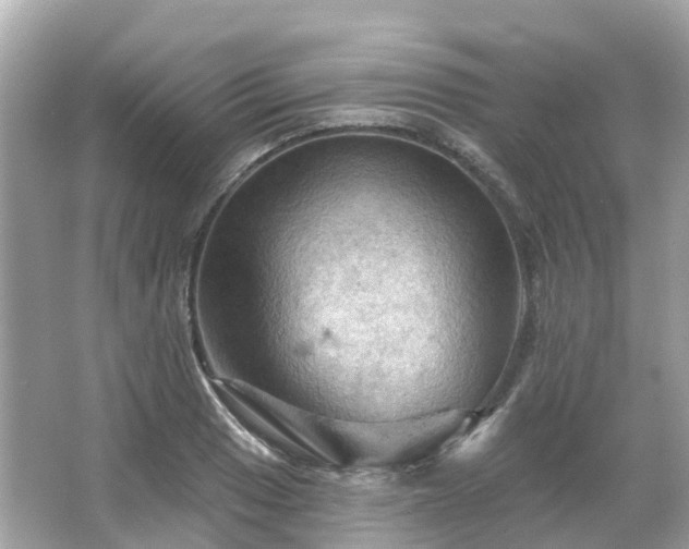 X0000066091033200603131158