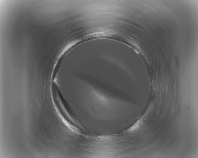 X0000066091034200603131158