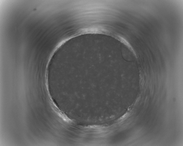 X0000066091035200603131158