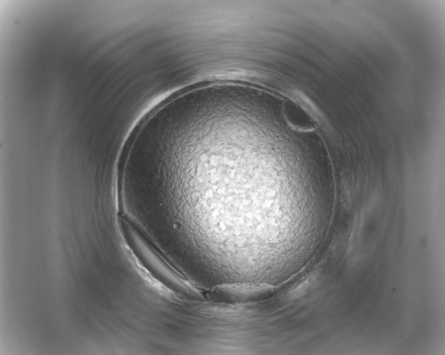 X0000066091036200603131158