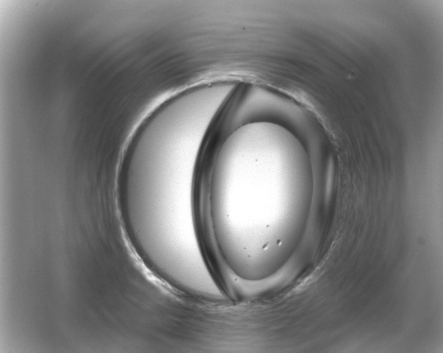 X0000066091038200603131158