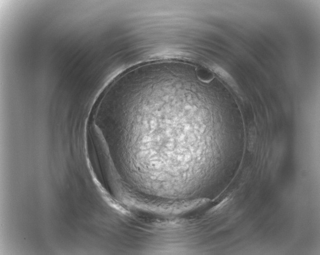 X0000066091039200603131158