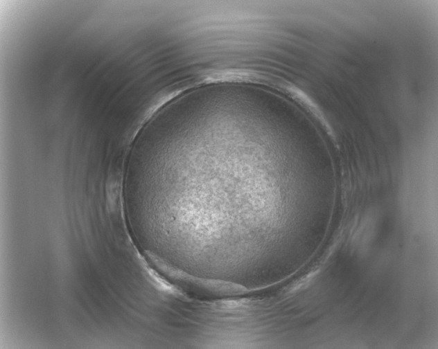 X0000066091041200603131158