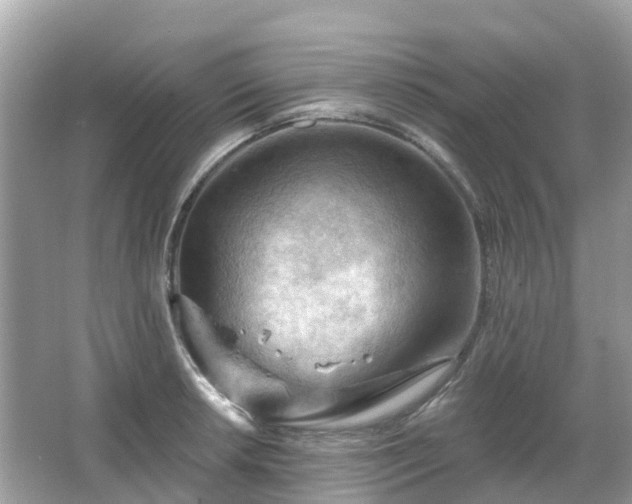 X0000066091042200603131158