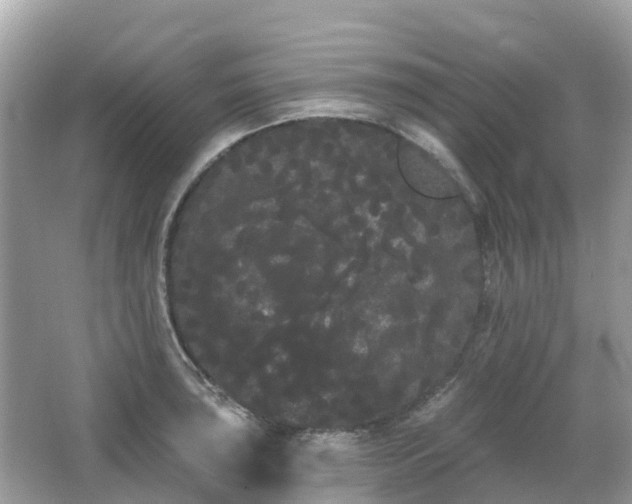 X0000066091043200603131158