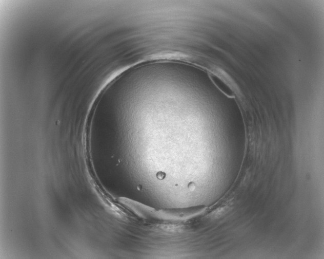 X0000066091044200603131158