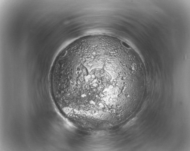 X0000066091045200603131158