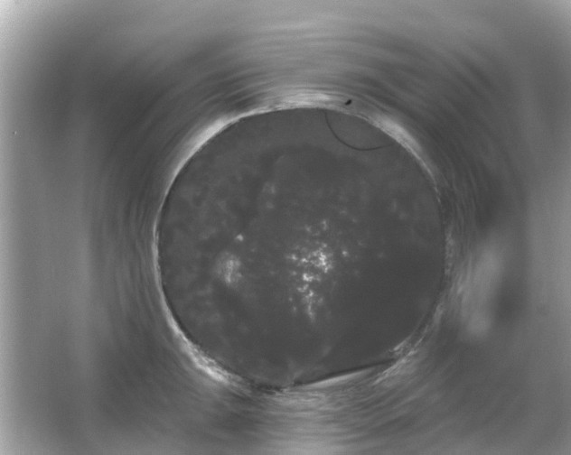 X0000066091047200603131158