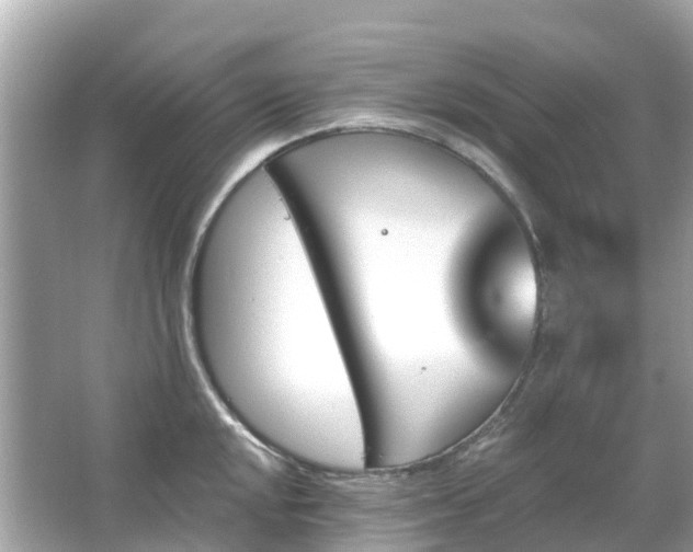 X0000066091048200603131159