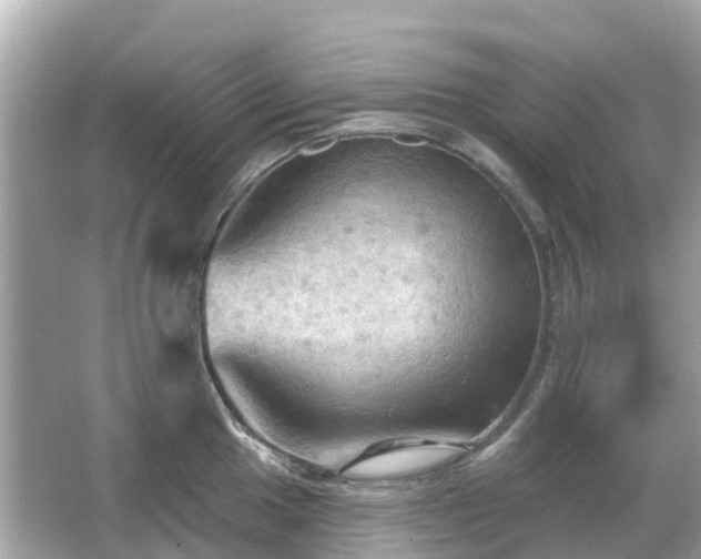 X0000066091049200603131159