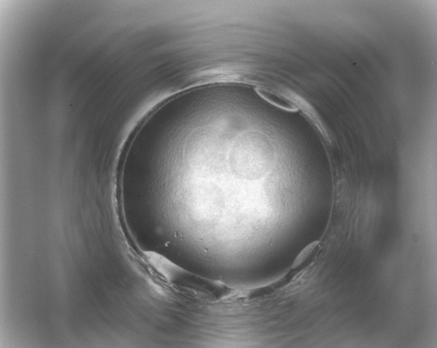 X0000066091051200603131159