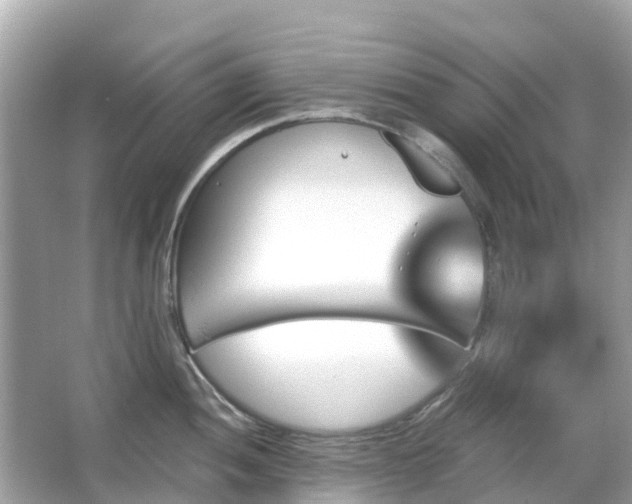 X0000066091052200603131159