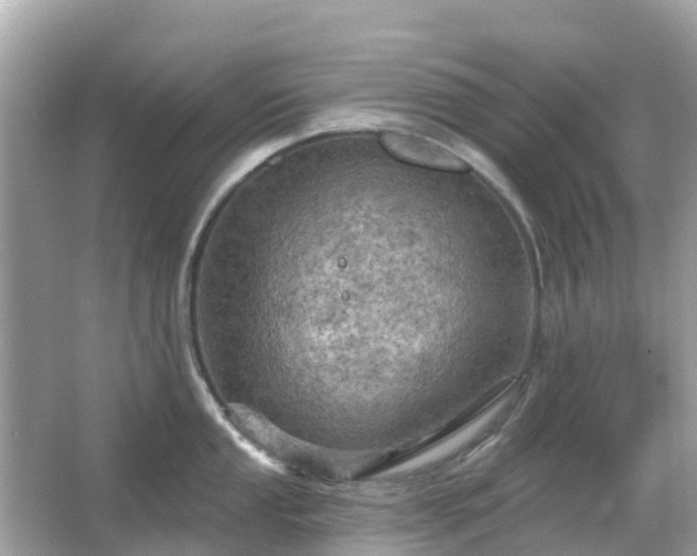 X0000066091053200603131159