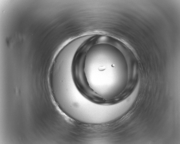 X0000066091054200603131159