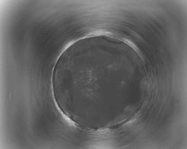 X0000066091055200603131159