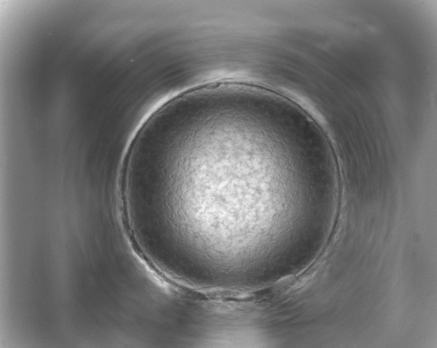 X0000066091056200603131159