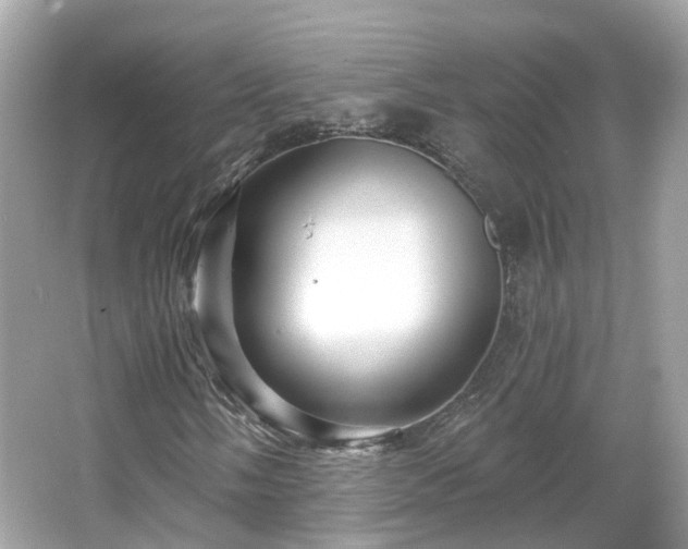 X0000066091058200603131158