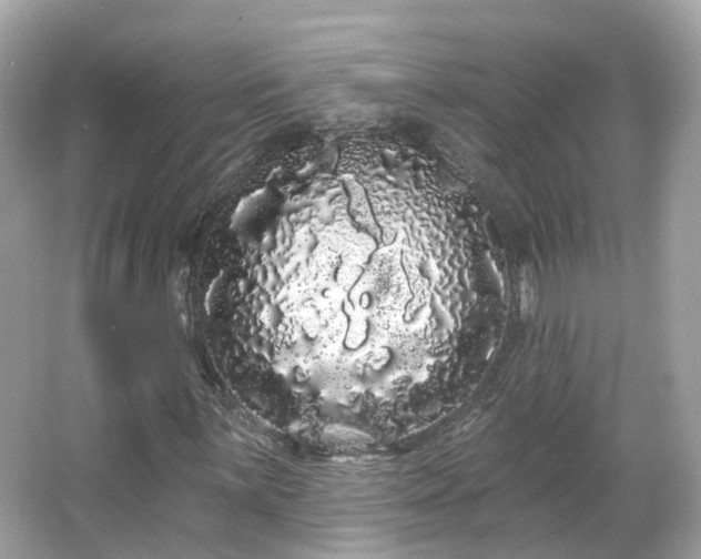 X0000066091059200603131158