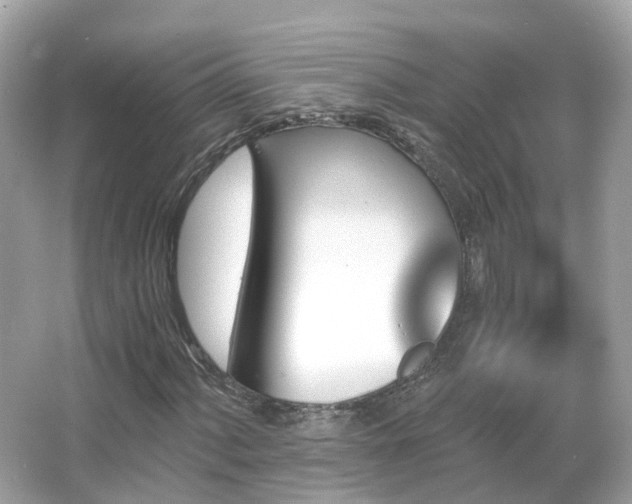 X0000066091060200603131158