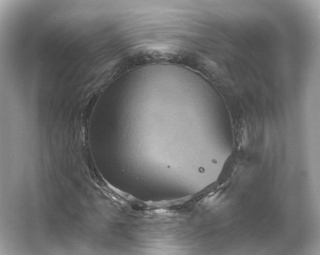 X0000066091061200603131158