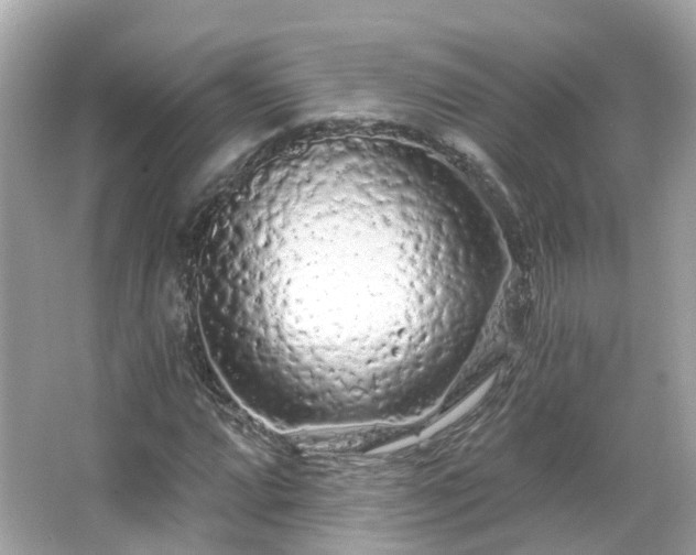 X0000066091064200603131158