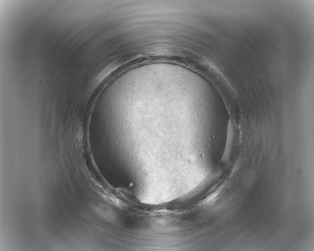 X0000066091065200603131158