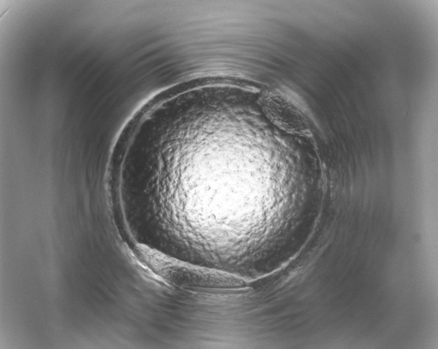 X0000066091068200603131158