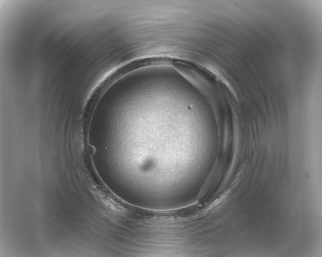 X0000066091069200603131158