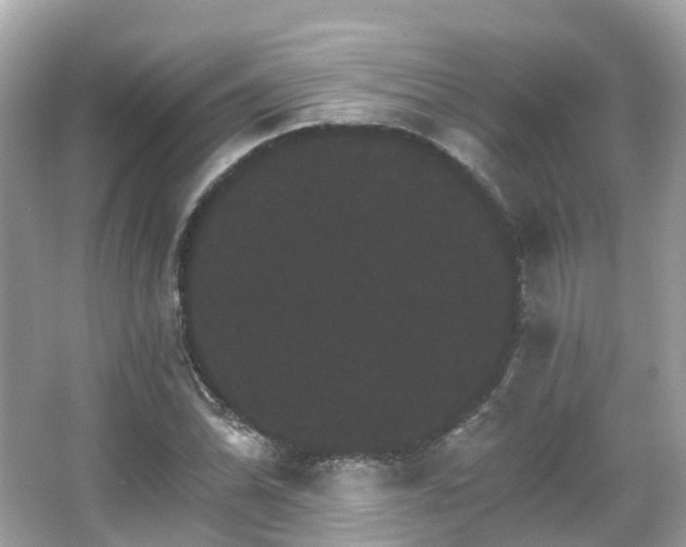 X0000066091070200603131158