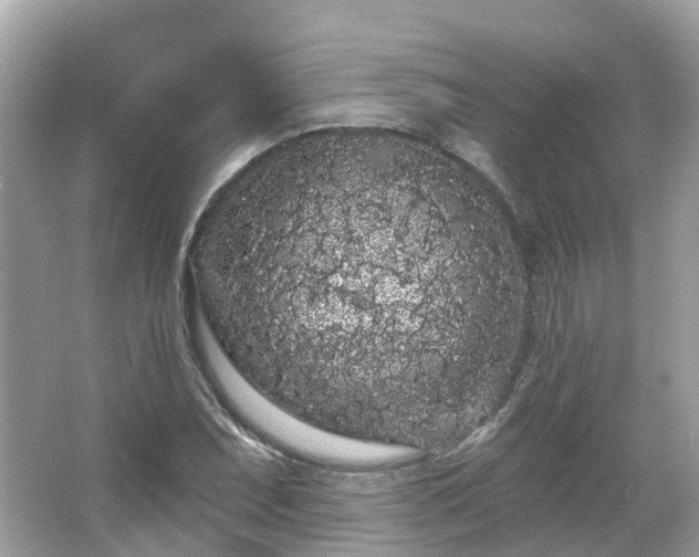 X0000066091071200603131158