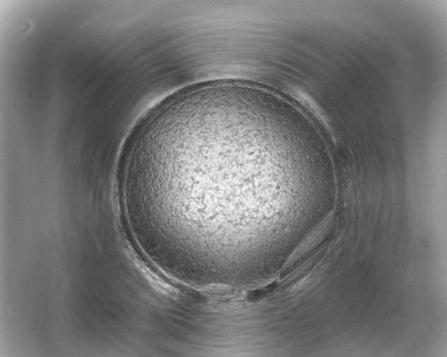 X0000066091072200603131158