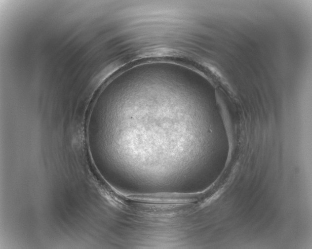 X0000066091073200603131158