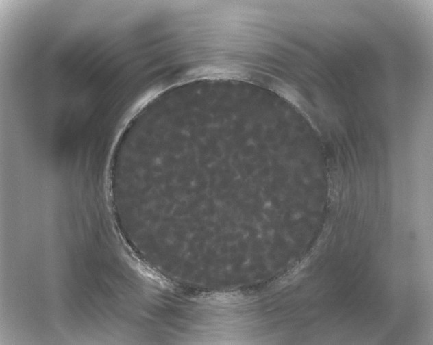 X0000066091074200603131158