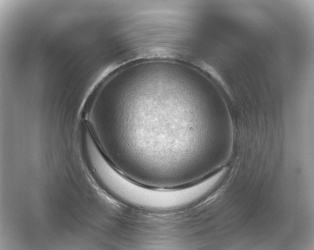 X0000066091075200603131158