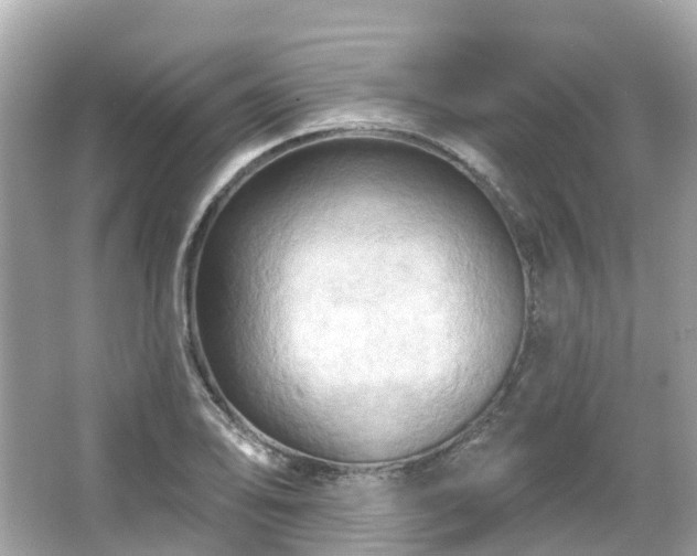 X0000066091078200603131157