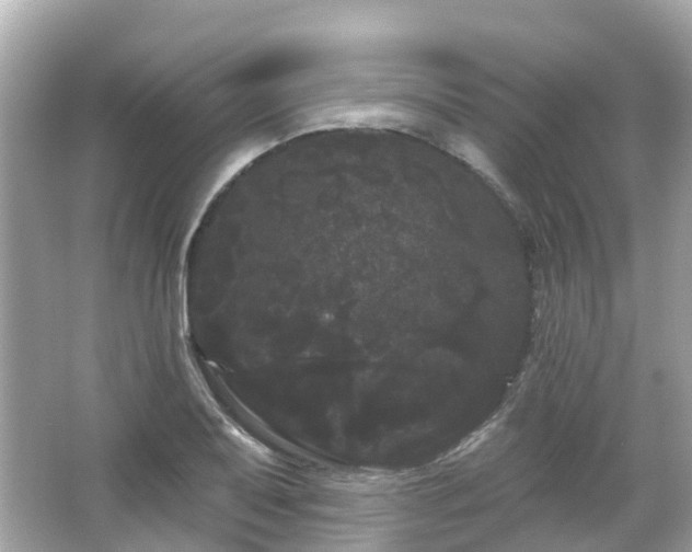 X0000066091079200603131157