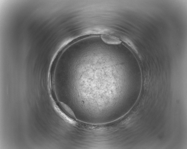 X0000066091080200603131157