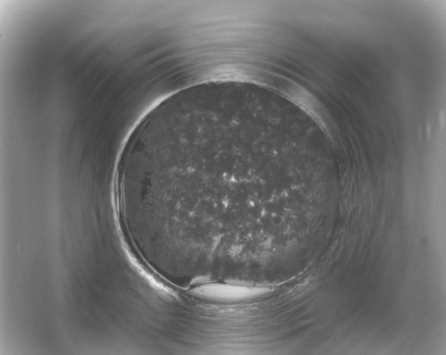 X0000066091084200603131157