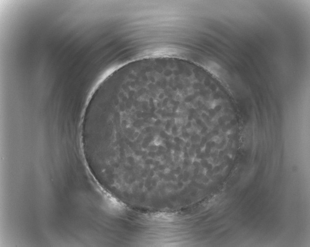 X0000066091086200603131157