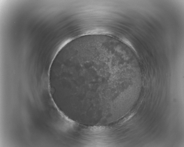 X0000066091087200603131157