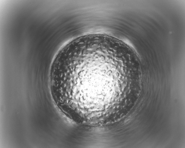 X0000066091088200603131157