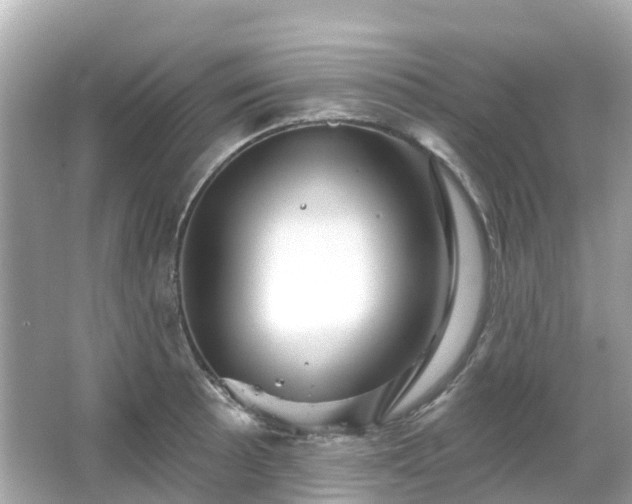 X0000066091089200603131157