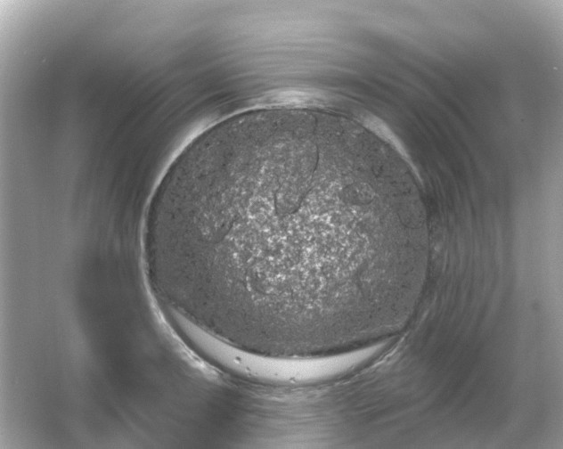 X0000066091091200603131157