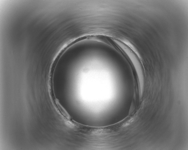 X0000066091093200603131157