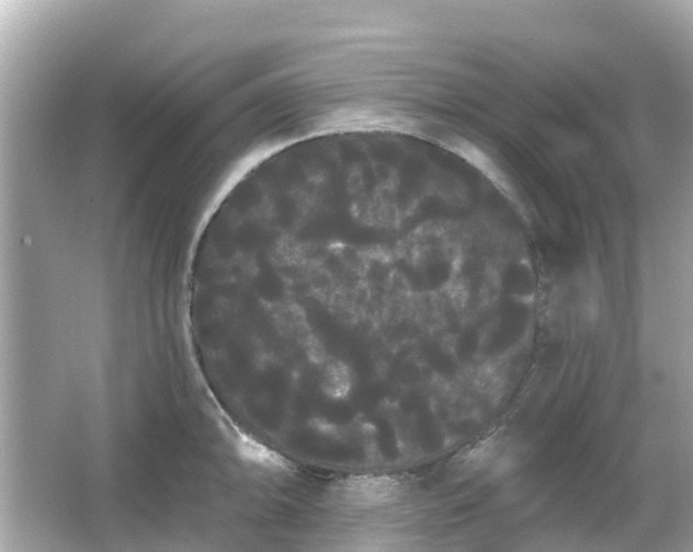 X0000066091094200603131157